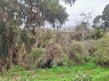 Imagen 10