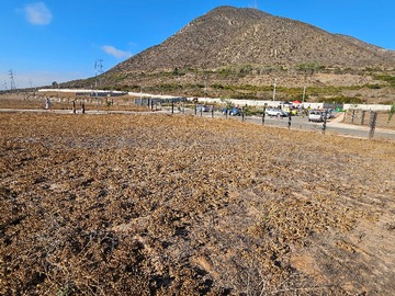 Imagen 6