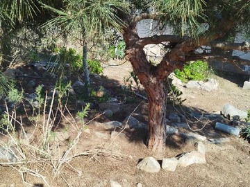 Imagen 6