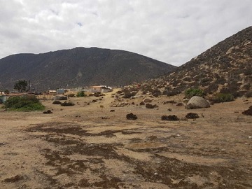 Imagen 8