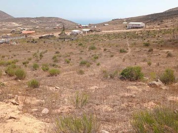 Imagen 6