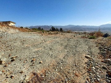 Imagen 5