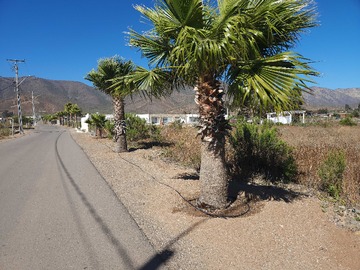 Venta / Terreno / La Serena
