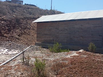 Imagen 8