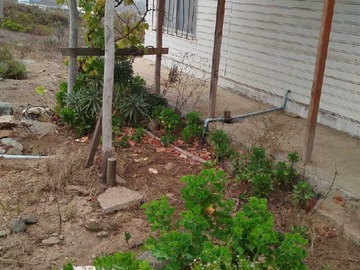 Imagen 7