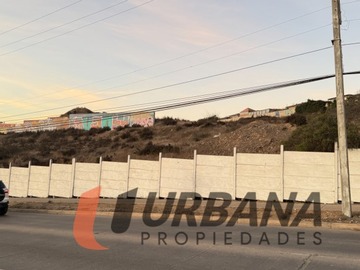 Imagen 9