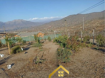 Imagen 10