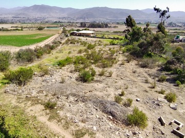 Imagen 8