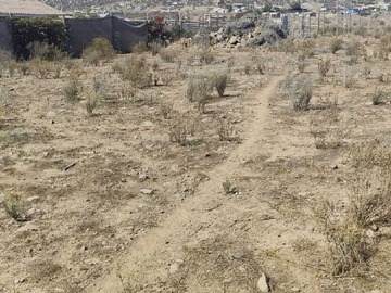 Venta / Terreno / La Serena