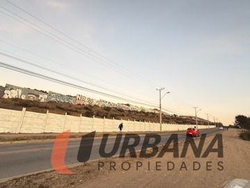 Imagen 13
