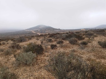 Venta / Terreno / La Serena