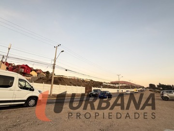 Imagen 6