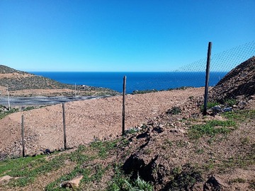 Venta / Terreno / La Serena