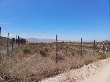Imagen 5