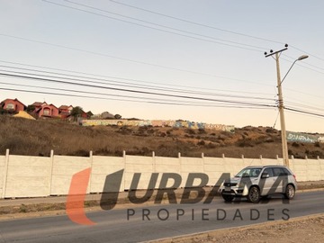 Imagen 12