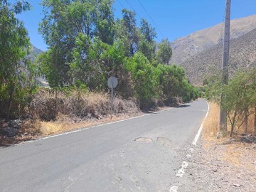 Imagen 8