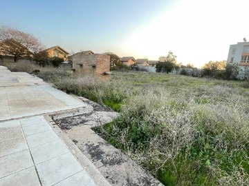 Imagen 15