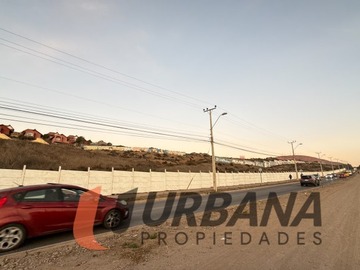 Imagen 11
