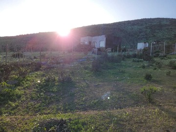 Imagen 13