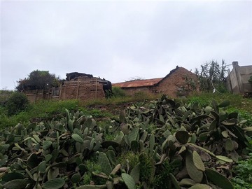 Imagen 6