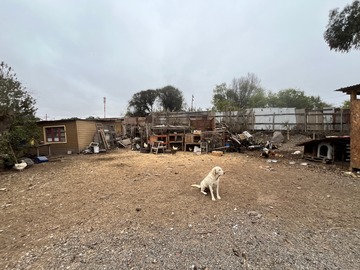 Venta / Terreno / La Serena