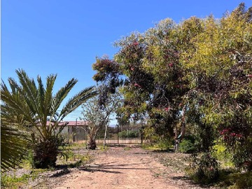Venta / Terreno / La Serena