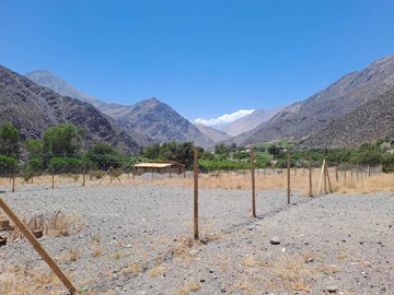 Imagen 4