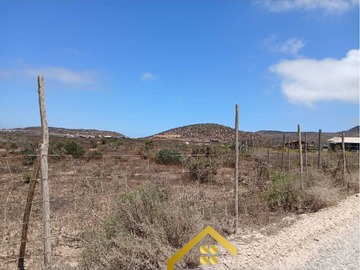 Imagen 18