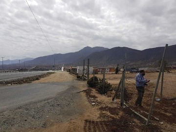 Imagen 7