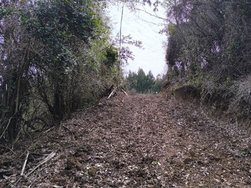 Imagen 5