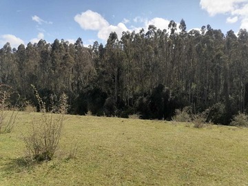 Venta / Terreno / La Unión