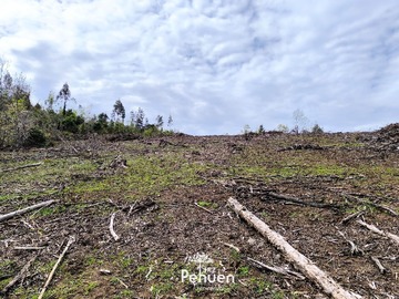 Imagen 9