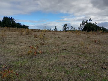 Venta / Terreno / La Unión