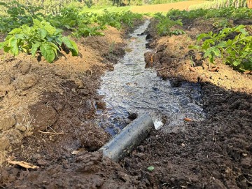 Venta / Terreno / Lago Ranco