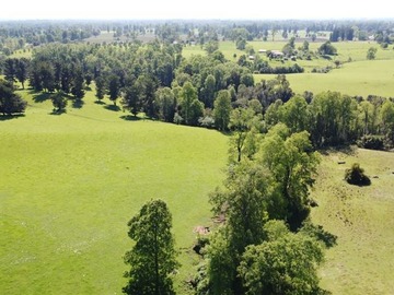 Venta / Terreno / Lago Ranco