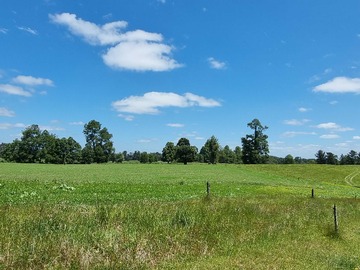 Venta / Terreno / Lago Ranco