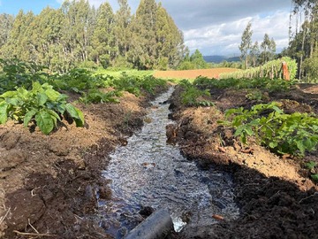 Venta / Terreno / Lago Ranco