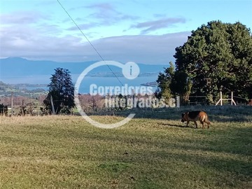 Venta / Terreno / Lago Ranco