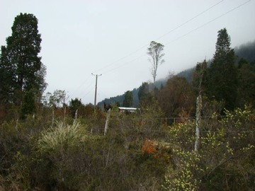 Imagen 13