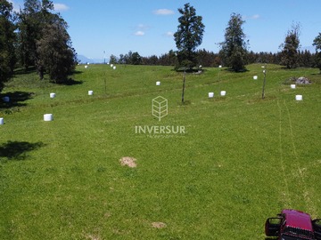Venta / Terreno / Lago Ranco