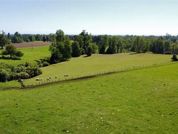 Venta / Terreno / Lago Ranco