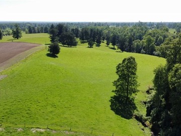 Venta / Terreno / Lago Ranco