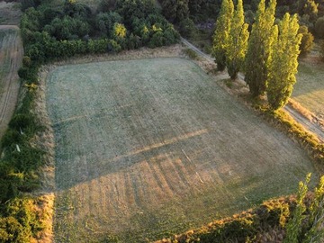 Venta / Terreno / Lago Ranco