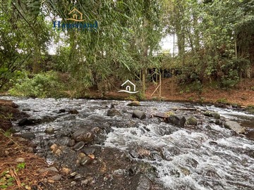 Imagen 9