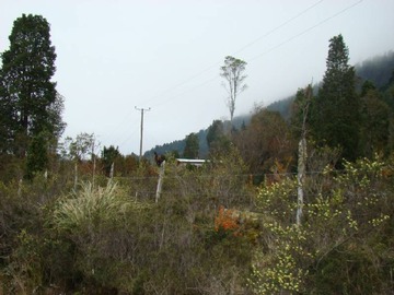 Imagen 18
