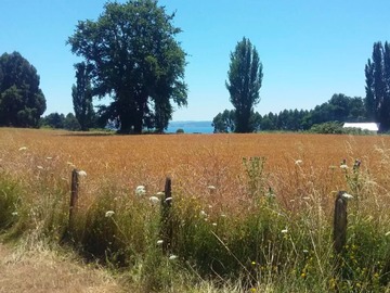 Venta / Terreno / Lago Ranco