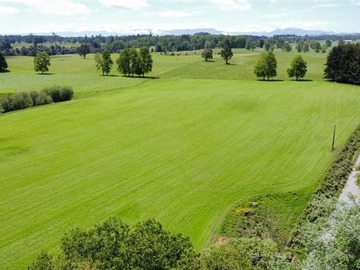 Venta / Terreno / Lago Ranco