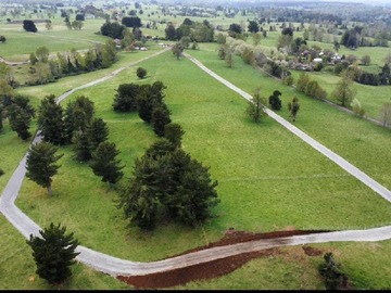 Venta / Terreno / Lago Ranco