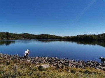Venta / Terreno / Lago Verde