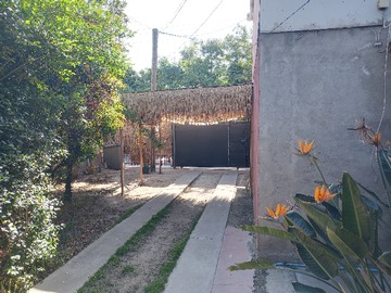 Imagen 6